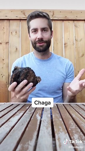 Discover the Health Benefits of These 5 Weird Mushrooms