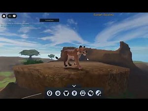 Checkin out the UPDATE!! | A Lion's Pride