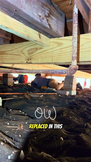 Foundation Repair in Progress 🔧 | Crawl Space Transformation Done Right 👍🏼 #foundationrepair