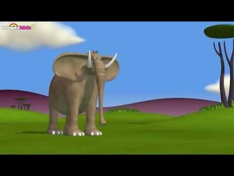 Hollywoodedge, Elephant Single Shor AT043401 in Gazoon