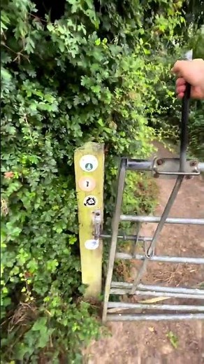 How to run down steep hills | Runner's World