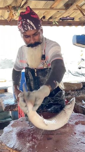 UNBELIEVABLE BARRACUDA Fish Cutting Skills! 😯 FASTEST Cutting Mastery at Beach Market #fishcutting