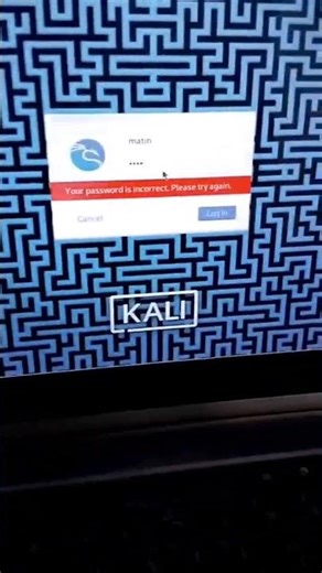 #coding #kali_linux #linux #python