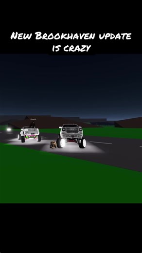 Exciting New Brookhaven Update You Can't Miss