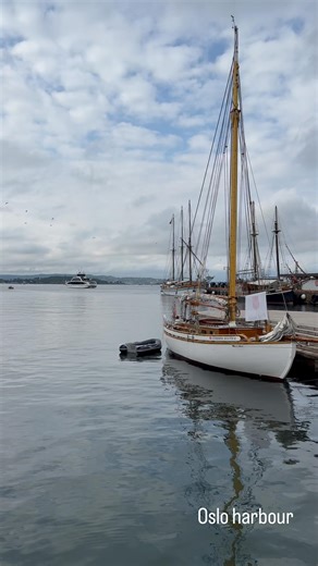 2.9K views · 857 reactions | Oslo harbour ❤️ #oslo #visitoslo | Visit Oslo | Facebook
