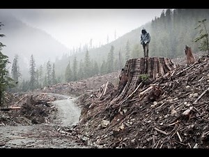 History and impact of Earth First!