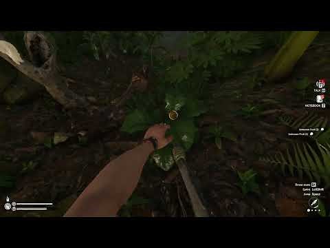 Green Hell Basic Starting Guide getting to Drug Lab Base