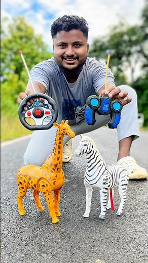 “Remote Control Animal Race! 🦒🦓 Giraffe vs Zebra | Fun on the Road!”