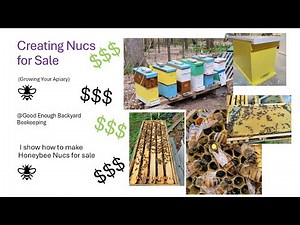 Creating Nucs for Sale