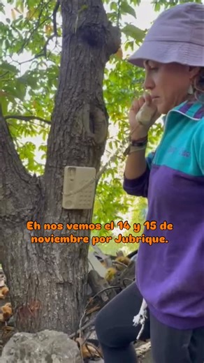 Jubrique on Instagram: "🔥 14–15 de noviembre | Hashtag Castañas · Jubrique Reserva la fecha porque vuelven las Jornadas Gastronómicas más sabrosas del Genal. Este año nos visita Enrique Sánchez @enriquesanchezchef (chef y presentador de ¡Cómetelo! en Canal Sur) y cocinará en directo con degustación para todos los asistentes. 🌰🥘 Iremos desgranando el programa poco a poco — talleres, sabores locales, mercado gastronómico, catas, música y muchas sorpresas—, pero ya puedes guardar este reel, comp