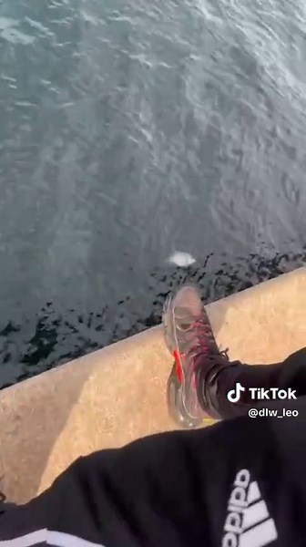 A Lucky Fishing Experience with PB Trev