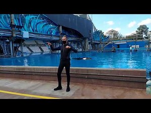 SeaWorld Orlando Orca Encounter Inside Look Filmed in 4K 11/15/2020