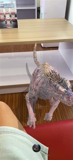 Scorpious rex footage