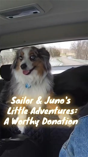 Liquidating assets to move on board GalaxSea: donating to nursing home!