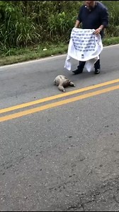 24K views · 151 reactions | Sloth rescue! | Reader's Digest | Facebook