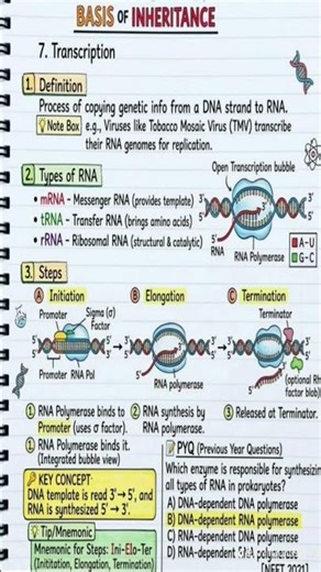 Why You Look Like Them: Basic Human Inheritance