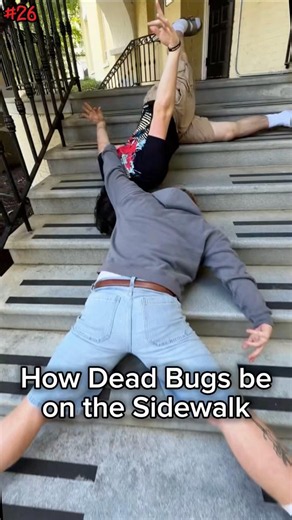 How Dead Bugs be on the Sidewalk 😭