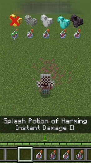 Splash Potion Hit Vs Armour Protection In Minecraft!