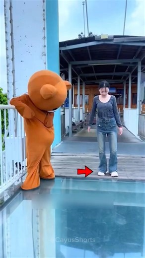 😱 She Was Terrified of the Glass Bridge… Then the Bear Did THIS! 🐻💔 #shorts #jaidmeel