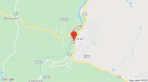 The Purple Fiddle Concert Tickets & Events Schedule 2026 - Thomas, WV | JamBase