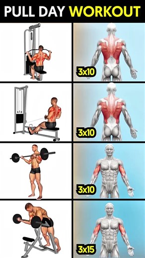 Pull Day Workout for Back & Biceps 💪