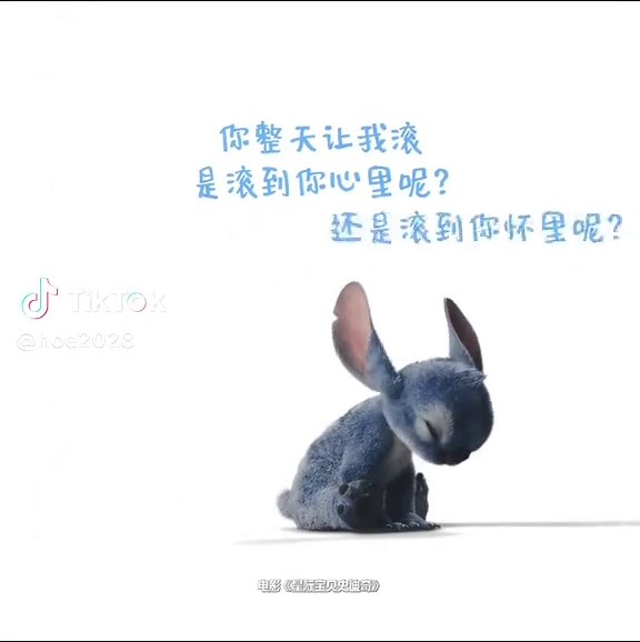 喜欢滚动的Stitch：最可爱的时刻