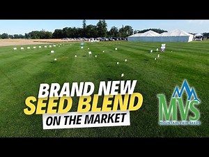 Heavy Shade In Your Lawn? This Grass Seed Blend Is For You! | MVS Vanguard Fine Fescue