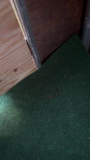 Michael Bates (@michael.bates0)’s videos with original sound - Michael Bates