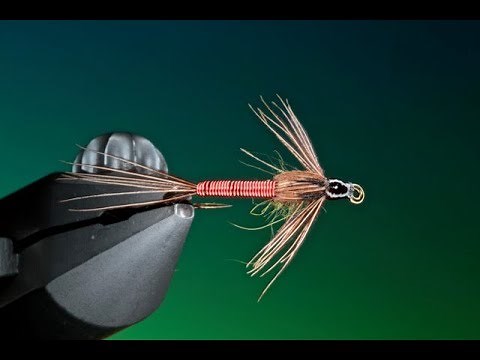 Fly Tying a Copper John Pheasant tail nymph with Barry Ord Clarke