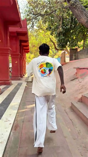 Dog Performs Amazing Flip🐶🤸‍♂️ #DogFlip #DogTrick #AgilityDog #FunnyDogs #DogLovers #Pets