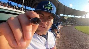 32 reactions · 3 comments | 2024 Monster Memories. This past season was one of our biggest in Lake Monsters history. Thank you to all Lake Monsters Fans for making it all possible. Relive some of the action in our 2024 Highlight Reel | Vermont Lake Monsters | Facebook