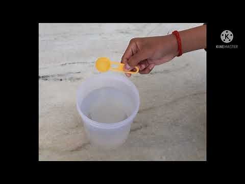 how to grow algae at home easily