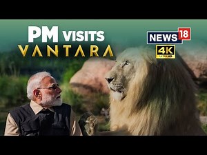 PM Modi Explores Vantara | World's Largest Animal Rescue Centre | 4K Video | Anant Ambani | N18V
