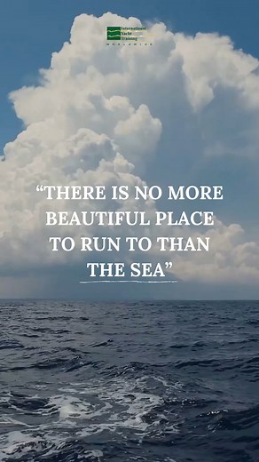 易 The Most Powerful Reset Button in the World? The Ocean. The real...