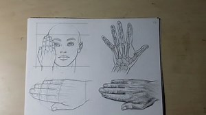 Hands drawing practice: Simple techniques for realistic hand poses