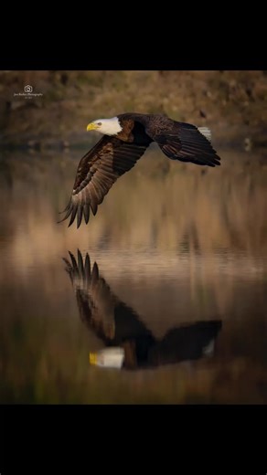 #G7 #GENX Need ai give an explanation!! wow stunning