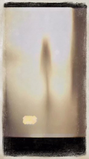 The Real-Life Little Mermaid (The 1891 Sea Girl Case) | Inspector Story