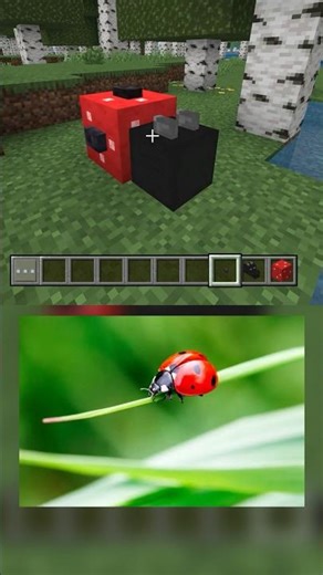 ladybug in minecraft #minecraft