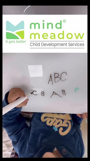 #Learningdisorders in #children are conditions that affect a child's ability to acquire and use academic skills. These disorders can impact reading, writing, and math, and may include conditions like #dyslexia, #dysgraphia, or #dyscalculia. Early recognition and appropriate interventions, such as specialized education programs, can significantly help children with learning disorders. We at Mind Meadow provide complete screening, assessments and diagnosis for young children.If you have specific q