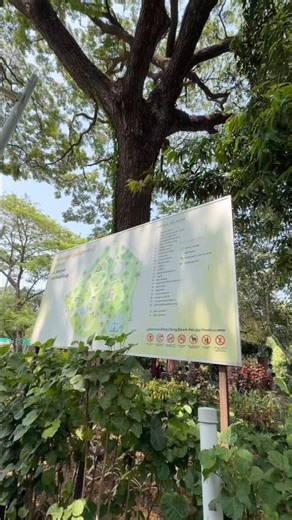 A Perfect Day at kalaignar centenary park, Check description for details❤️