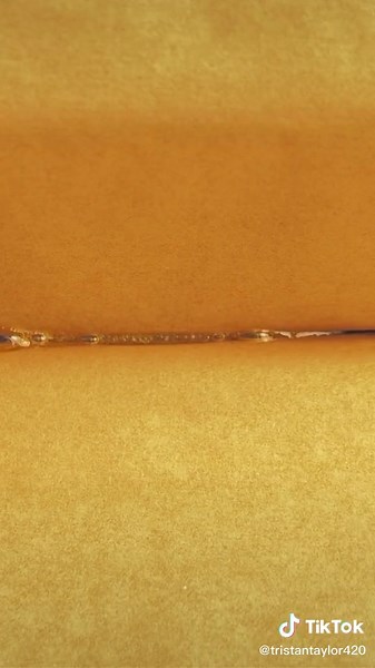 The Fascinating Process of Honey-Making by Bees