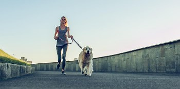 When Can You Start Running with Your Dog? | Preventive Vet