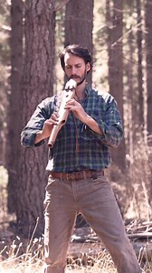 19K views · 1.1K reactions | Playing serene flute sounds through a tranquil pine forest, harmoniously blending with nature.  #naturemusic #Flute #native # #serenity #healingvibrations #soundhealing | Christian Dimarco Music | Facebook