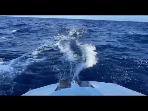DAY 5 - DREAM SAILING CONDITIONS FROM FIJI TO AUSTRALIA