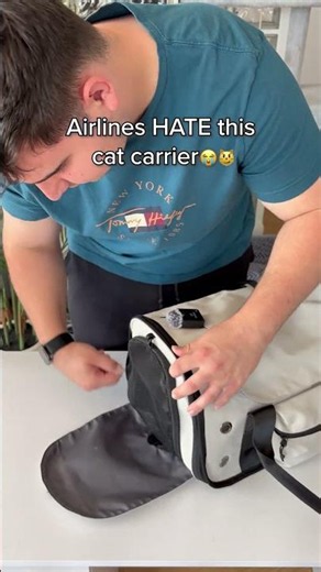 This cat travel bag feels like a cheat code ✨