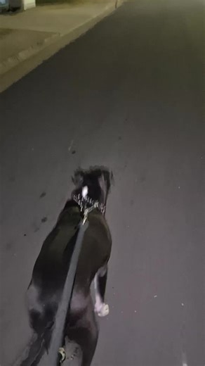 Crystalized (@crystalized83)’s videos with Shake Dat - Chief Keef & Mustard