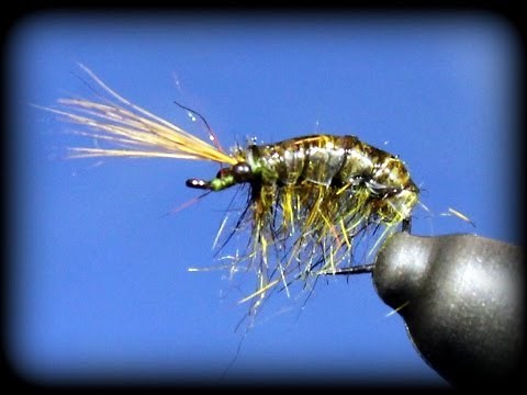 Fly Tying: Olive Scud Nymph (EASIER than it looks!)