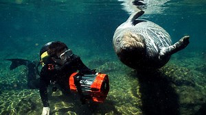 Jonathan Bird's Blue World