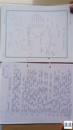 Biology Project File #aspirationarts #shorts