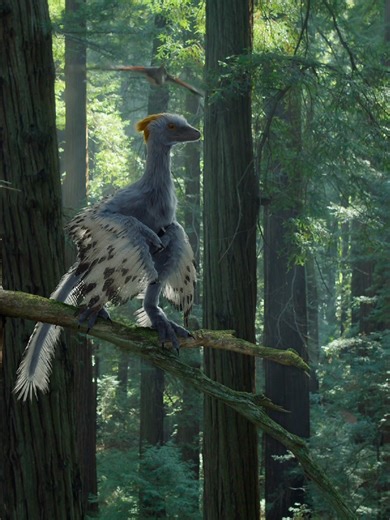 Amazing Snow Leopard Facts and Conservation